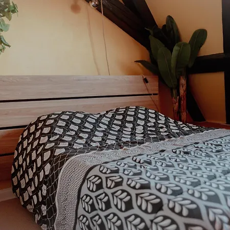 Apartamento Le Cocon Alsacien, Parking Privé *