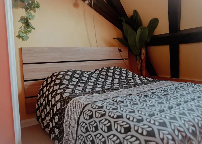 Lägenhet Atypique Cosy A Prix Reduit Cette Semaine *