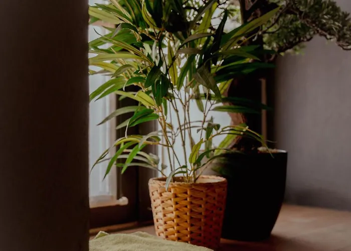 Atypique Cosy A Prix Reduit Cette Semaine Lägenhet