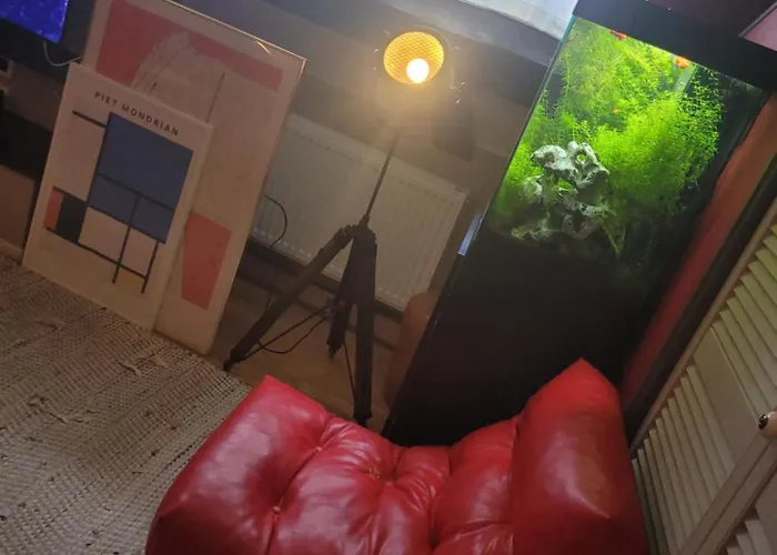Atypique Cosy A Prix Reduit Cette Semaine Lägenhet