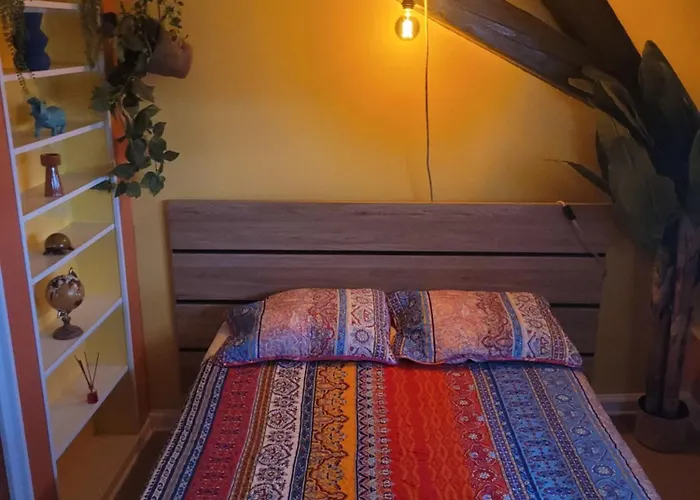 Lägenhet Atypique Cosy A Prix Reduit Cette Semaine Soultz-Haut-Rhin